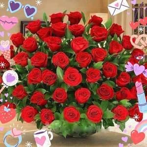 Meet your Posher, Jenny